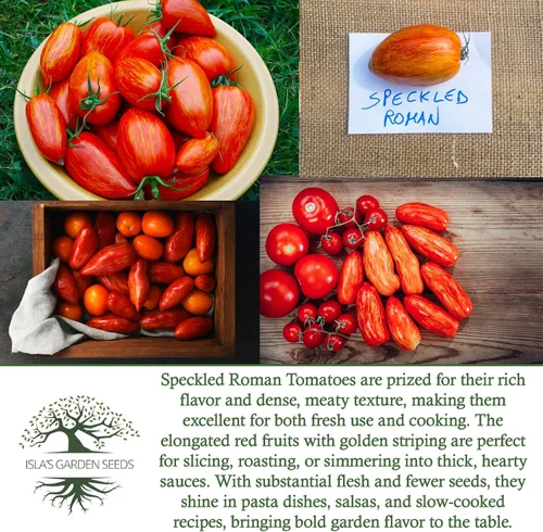 Vista 6 de Semillas de tomate romano moteadas (Lycopersicon lycopersicum) – Más de 100 semillas tradicionales sin OMG de Isla's Garden Seeds, pasta a rayas