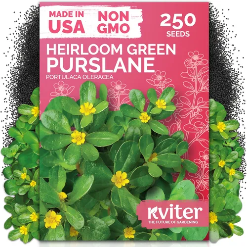 Vista 21 de KVITER 3000 semillas de espinaca egipcias - Molokhia (Corchorus Olitorius) - Hojas de yute, Ewedu, Día de Rau, Semillas de vegetales Saluyot