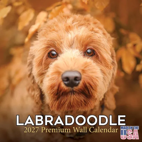 Vista 178 de Calendario de Lebrel Afgano 2025 2026, calendario mensual de pared de raza canina, 12" x 18" abierto, papel grueso sin traspaso, ideal para regalo