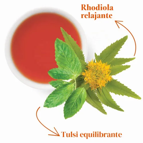 Vista 3 de The Republic of Tea SuperAdapt - Tés de hierbas (Supresión del estrés, lata de 36 bolsas de té)
