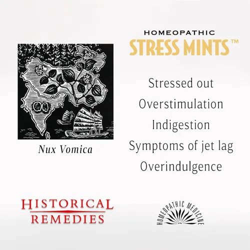 Vista 3 de Mentas antiestrés (paquete de 12) Pastillas homeopáticas para ayudar al estrés y la digestión, sabor a menta orgánico, vegano y sin gluten, sin