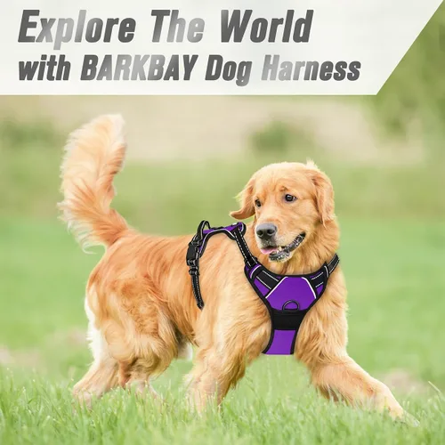 Vista 114 de BARKBAY - Arnés para perro sin tirones con clip frontal, material resistente y reflectante, asa de fácil control para pasear perros grandes