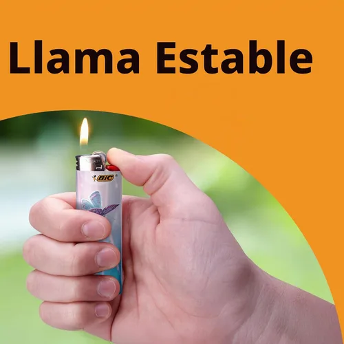 Vista 5 de BIC Maxi - Encendedores de bolsillo, serie caprichosa, paquete de 8 Relleno de calcetines de Navidad, iluminación de velas navideñas, diseños