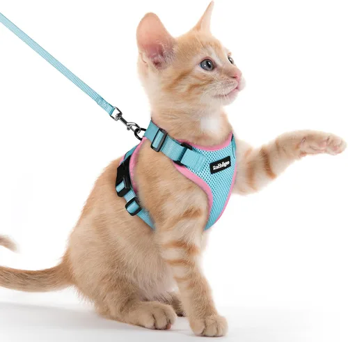 Vista 66 de rabbitgoo Cat Harness and Leash Set, Escape Proof Vest, XXS, Berry Pounce Soft Breathable Mesh, No-choke Adjustable Fit, Snap Buckles, Sturdy