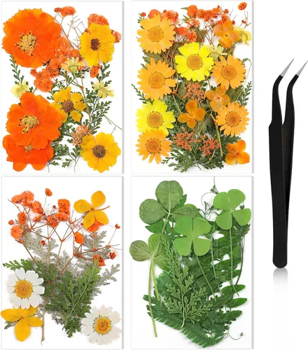 Vista 8 de Nuanchu Flores secas prensadas negras para manualidades, flores secas góticas, flores silvestres prensadas naturales a granel con pinzas para molde