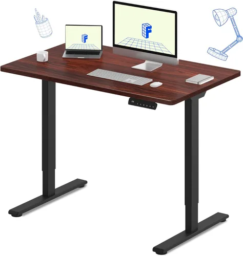 Vista 29 de FLEXISPOT Escritorio eléctrico de pie E3 con motor doble, 48 x 24