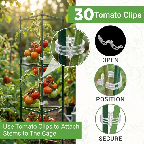 Vista 4 de Jaula de tomate – Estacas grandes de enrejado y estructuras de soporte para plantas para verduras y plantas trepadoras – Jaulas altas para tomate