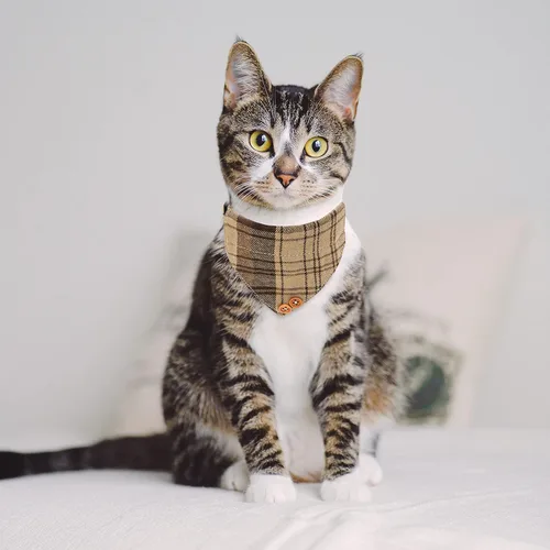 Vista 7 de Breakaway - Collares para gatos – Pajarita a cuadros y bandana para gatos con campana para niñas y niños, accesorios suaves y ajustables