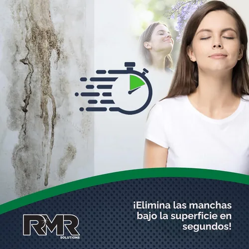 Vista 3 de RMR-86 - Removedor instantáneo de manchas de moho y hongos en aerosol - Fórmula sin refregar, 30 onzas líquidas