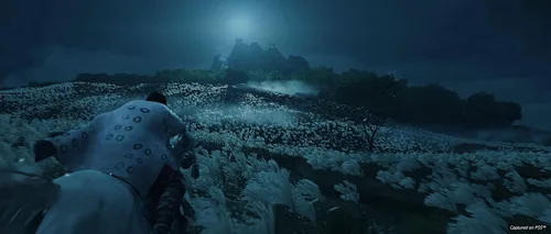 Vista 5 de Ghost of Tsushima Director's Cut - PlayStation 5