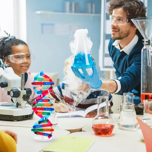 Vista 8 de NUOBESTY Kit de modelo de ADN, modelo de estructura de doble hélice, 13 pulgadas para ensamblar ayuda docente de biología con soporte