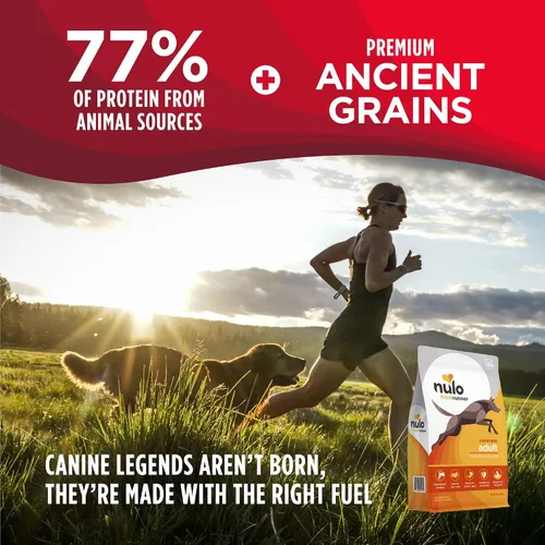Vista 2 de Nulo Frontrunner Ancient Grains - Alimento para perros con alto contenido de proteínas, pollo, avena y receta de pavo - Alimento seco natural