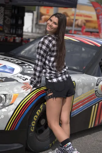 Vista 5 de NASCAR 75th Anniversary - Ambientadores colgantes para automóvil, edición limitada, aroma Moonshine Frost (paquete de 3), eliminador de olores