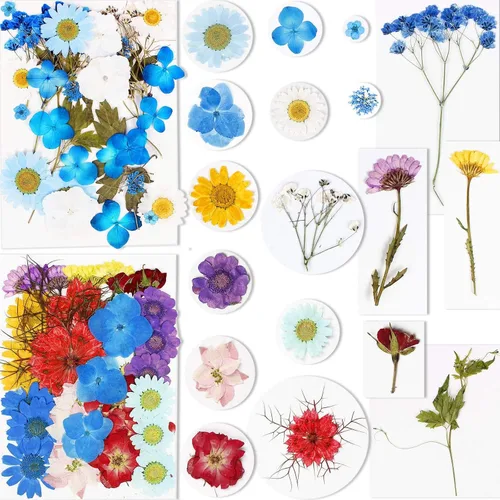 Vista 2 de BIHRTC 100 hojas secas prensadas naturales, hojas secas prensadas, girasoles, crisantemo, margaritas para manualidades, resina, joyería, fabricación