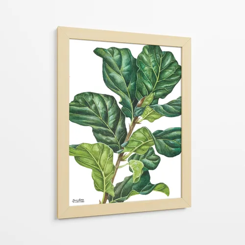 Vista 11 de Canvas Lab Lienzo decorativo para pared, Fiddle Ficus Lyrata del artista Blanca Aurora – Tamaño: 12 x 16 pulgadas – Tema: botánico, naturaleza
