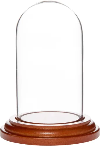Vista 9 de Plymor Mini cúpula de cristal de 1.85 x 3.5 pulgadas (base de madera MDF negra)
