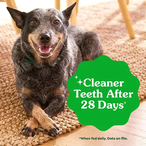 Vista 5 de Greenies Golosinas dentales naturales para perros adultos recomendadas por veterinarios, tamaño pequeño, sabor original, paquete de 3 onzas, 5