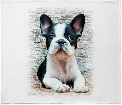 Vista 18 de CafePress