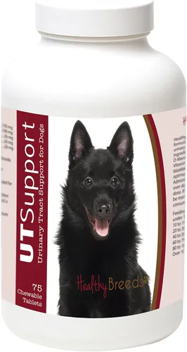 Vista 188 de Healthy Breeds Afghan Hound Cranberry Chewables 75