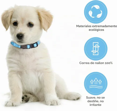 Vista 4 de 16 collares para cachorros, collares de hebilla de seguridad para la arena, collares ajustables de nailon para cachorros pequeños, collares de parto