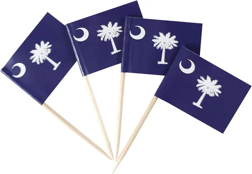 Vista 13 de JBCD Bandera de palillo de dientes de Arkansas Mini Banderas pequeñas para cupcakes de Arkansas, 100 piezas