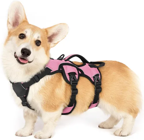 Vista 50 de rabbitgoo - Arnés para perros a prueba de fugas, arnés para mascotas acolchado y suave de cuerpo completo, arnés reflectante ajustable sin tirones