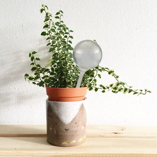 Vista 5 de Paquete de 2 bombillas grandes de riego automático para plantas, dispositivo de agua de jardín, bombillas transparentes de riego por goteo, bola