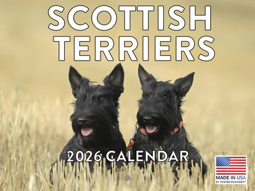 Vista 116 de Calendario mensual de pared Airedale Terrier Dog 2027 rojo (Airedale Terrier)