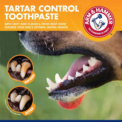 Vista 4 de Pasta dental para perros, sabor carne de res Arm & Hammer Advanced Care Enzymatic