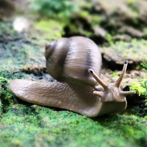 Vista 5 de Cabilock Estatua de caracol de resina, estatua de jardín de caracol, lindo caracol, decoración de jardín, estatua de animal, micro paisaje, pecera