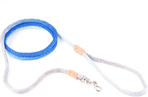 Vista 210 de Alvalley Correa para perros estilo broche – Correa de nailon estilo broche para perros – Fácil de manejar – Perfecto para perros pequeños, medianos