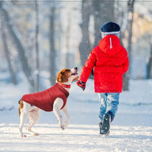 Vista 6 de Abrigo cálido para perro, chaqueta resistente al viento para perro, abrigos de invierno para mascotas, ropa para perros de color sólido, chaqueta
