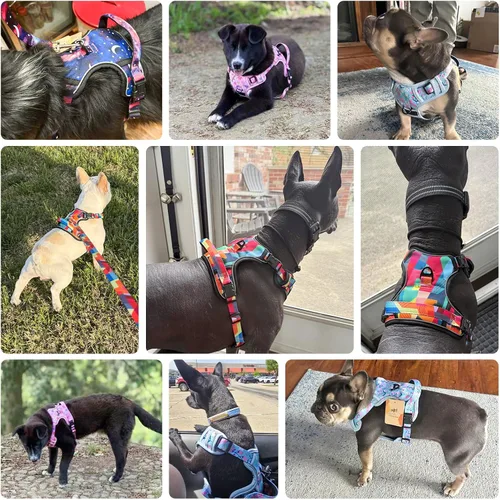 Vista 2 de BEAUTYZOO Arnés para perro sin tirones pequeño, juego de arnés y correa ajustable para perro - Fácil de usar con 3 hebillas/mango de control, arnés
