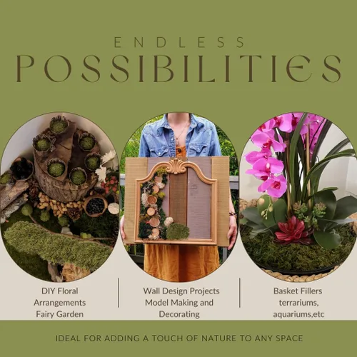 Vista 5 de USMOLA Musgo artificial para plantas de interior, musgo falso de 16 onzas para manualidades, centros de mesa decorativos, jardín de hadas