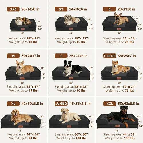 Vista 8 de Comfort Expression - Cama ortopédica para perros medianos, 28 x 19 pulgadas, cama impermeable y de apoyo de espuma con cojines removibles, sofá