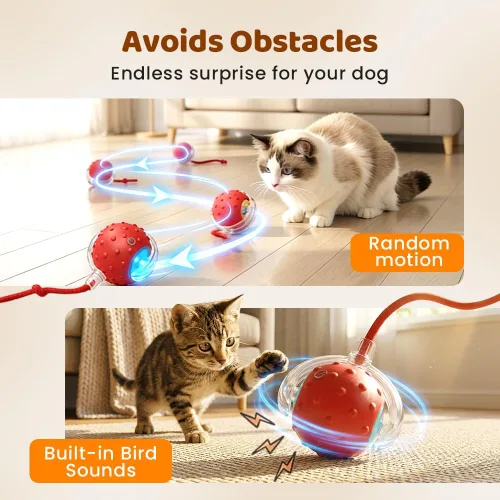 Vista 3 de Pelota de juguete interactiva para gatos de interior, conductor fuerte que rueda rápidamente en la alfombra, chirrido y activado por movimiento