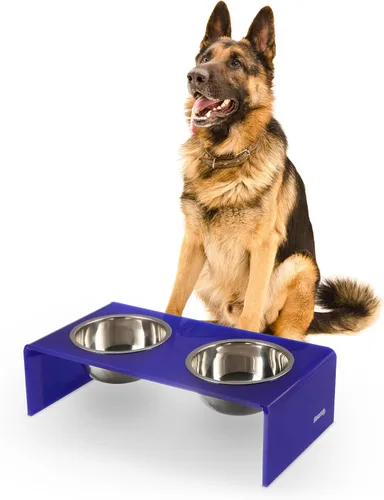 Vista 9 de DBL2000B Keaton - Comedero rectangular elevado moderno de lucita para mascotas de 5 pulgadas, tamaño pequeño/mediano, con 2 cuencos de acero
