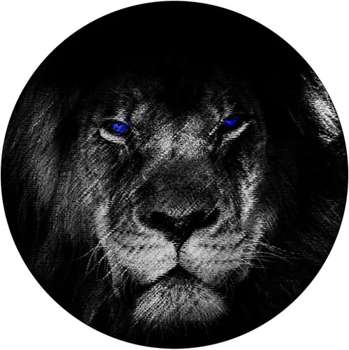 Vista 3 de Lion Pop - Enchufe para hombre y mujer, color blanco y negro