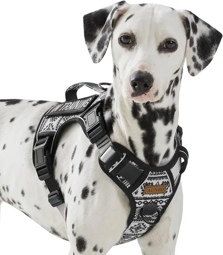 Vista 11 de Arnés para perro sin tirones para perros de tamaño pequeño, chaleco ajustable para caminar fácilmente, material Oxford transpirable, tiras Verde