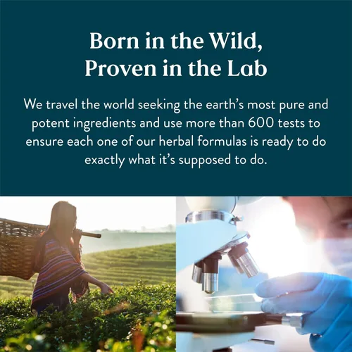 Vista 2 de Nature's Sunshine Arroz de levadura roja, 120 cápsulas, Kosher Ayuda a apoyar la producción de colesterol bueno en el hígado y apoya el sistema