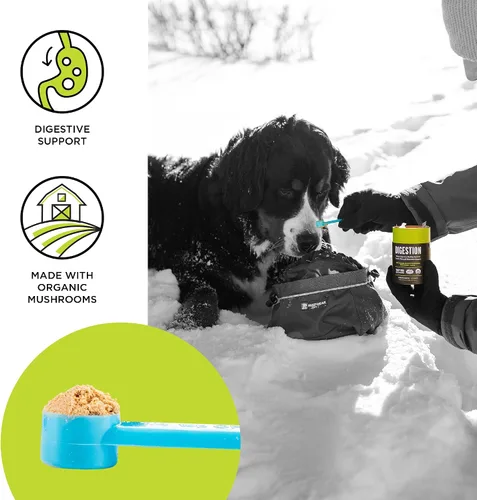 Vista 3 de Suplemento para perros y gatos BIXBI Organic Pet Superfood