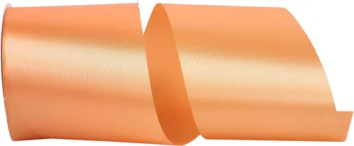Vista 79 de Reliant Ribbon 4700-056-05C cinta