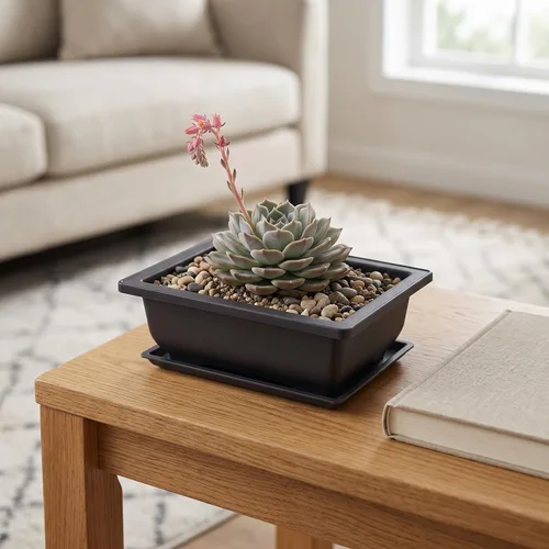 Vista 7 de KINJOEK 15 macetas de entrenamiento de bonsái de plástico de 6.5 pulgadas con bandejas de drenaje, maceta rectangular para árbol de bonsái, maceta
