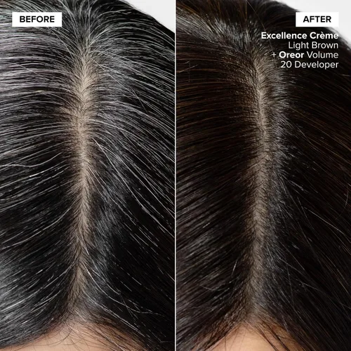 Vista 2 de L'Oréal Technique Excellence Crème Permanent Hair Color Long-Lasting Hair Dye Rich Formula with No-Drip Application Superb Gray Coverage For