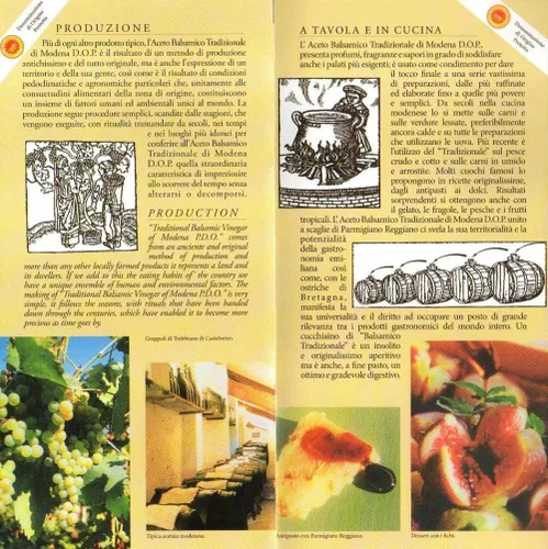Vista 5 de Vinagre Balsámico Tradicional de Módena DOP 12 años, 3.4 oz + dosificador de tic + libro de recetas