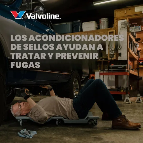 Vista 7 de Valvoline - Aceite de alto millaje 150 K con MaxLife Plus Technology, SAE 5W-20, 1 cuarto de galón