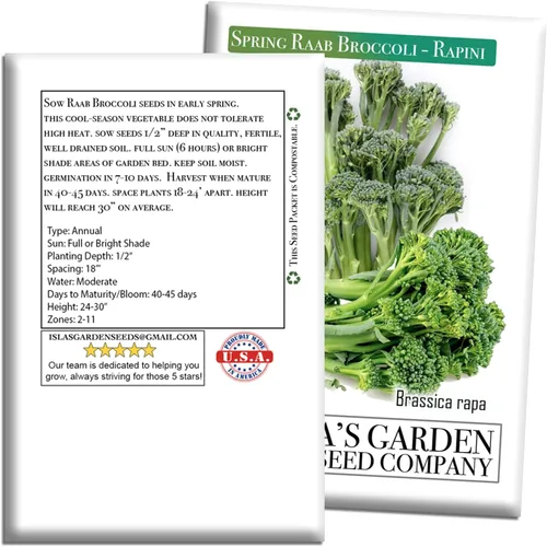 Vista 7 de Semillas de brócoli Raab Rapini de primavera, 300 semillas por paquete, semillas sin OMG, nombre botánico: Brassica oleracea, Isla's Garden Seeds