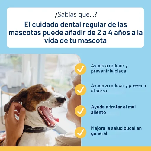 Vista 4 de ProDen - Mini huesos dentales para perros, mantequilla de maní y plátano