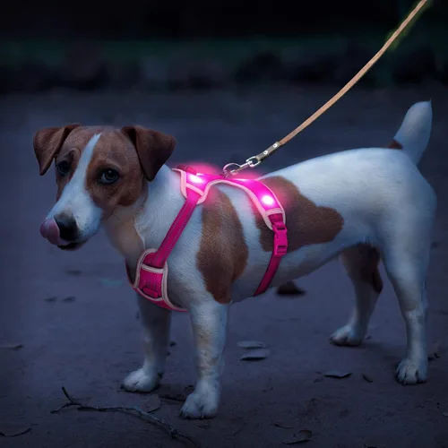 Vista 5 de Arnés para perro que brilla en la oscuridad recargable por USB (rosa, L)