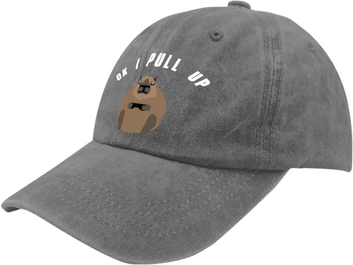 Vista 2 de devor Baseball Caps Ok I Pull Up Dad Hat for Women Funny Denim Cap Adjustable